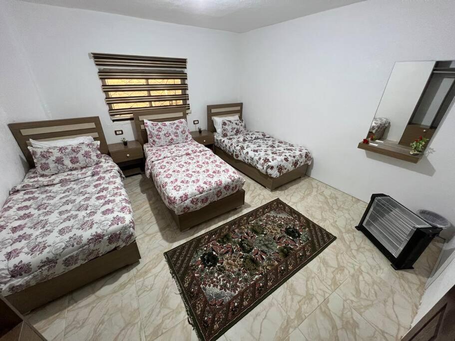 Z3 Apartment Wadi Musa Esterno foto