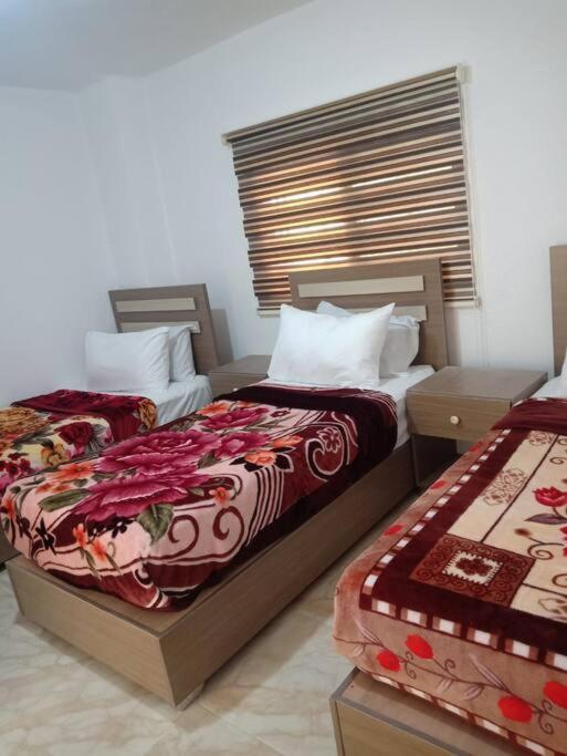 Z3 Apartment Wadi Musa Esterno foto