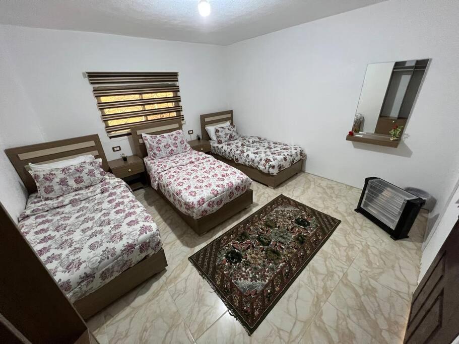Z3 Apartment Wadi Musa Esterno foto